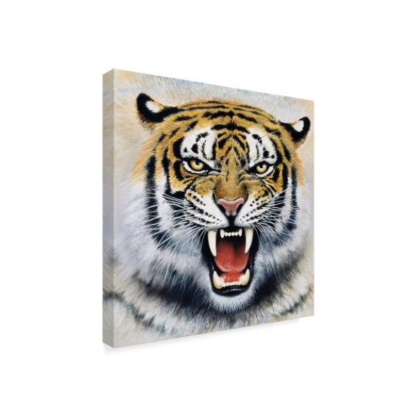 Harro Maass 'Tiger Portrait 2' Canvas Art,35x35